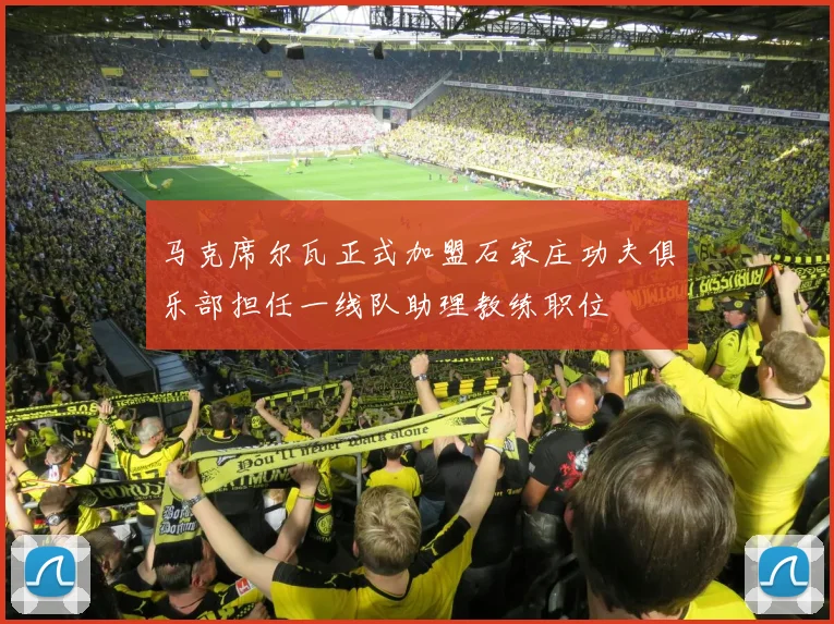 马克席尔瓦正式加盟石家庄功夫俱乐部担任一线队助理教练职位